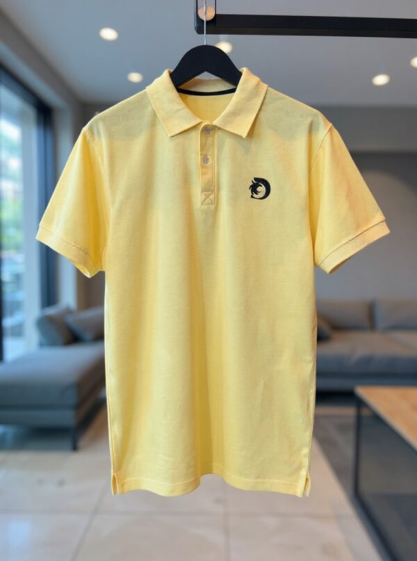 Polo T-shirts with Different colors